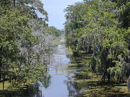 Bayou.jpg
