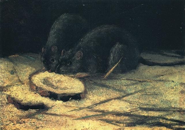 File:Two Rats.jpg