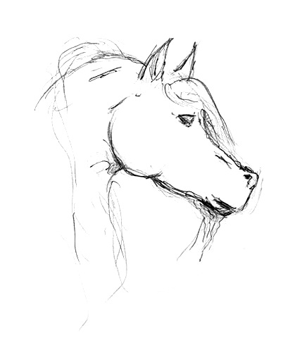 File:Umshalla Horse.jpg