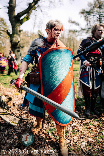 In Dawn, the shield is often called Glory's Reward.