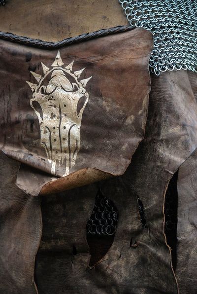 The Irontide symbol is emblazoned on equipment, weapons, armour and most especially shields.