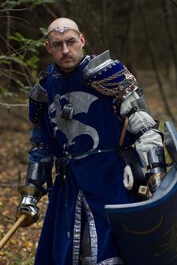 A noble wears the heraldry of their House, or their personal heraldry