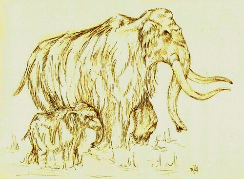 Mammoth.JPG