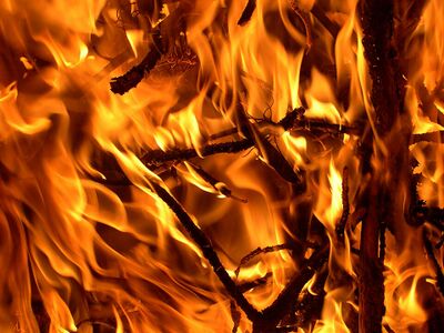 Fire and thorns.jpg