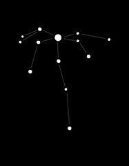 The Oak (Constellation)