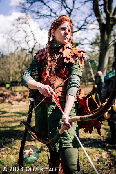 File:Bloodamber Hauberk.jpg