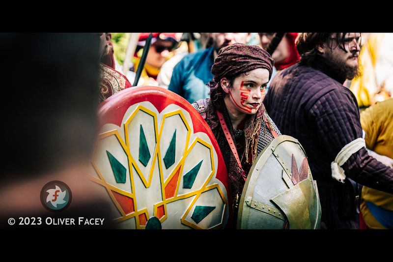 File:Double Fancy Shield.jpg