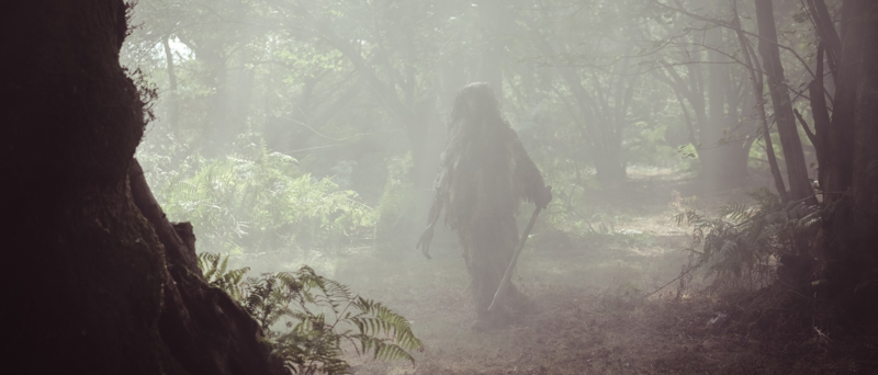 File:Aspidistra In The Mists.png