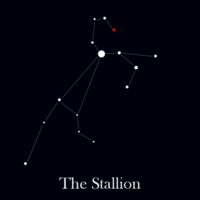 Stallion2.png
