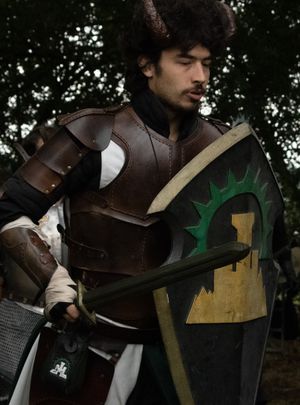 Medium Highborn Shield.jpg