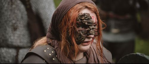 Briar Face Detail.jpg