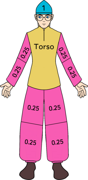 File:Armour coverage.png