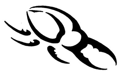The Black Hide Beetle - symbol of the Pakkad
