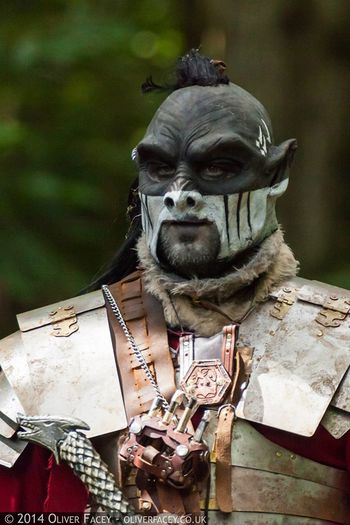 Bloodcrow Ergot, warrior of the Imperial Orcs