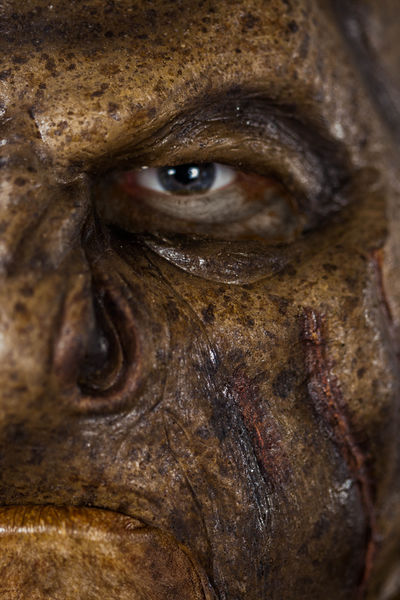 File:OrcFace.jpg