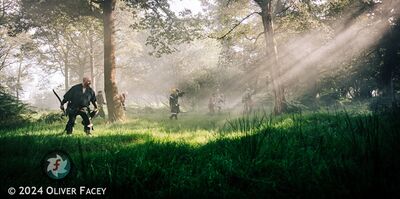 Quest Against the Vallorn.jpg