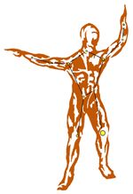 The Drowned Man (Illus.)