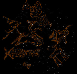 The Night Sky (Illus.)