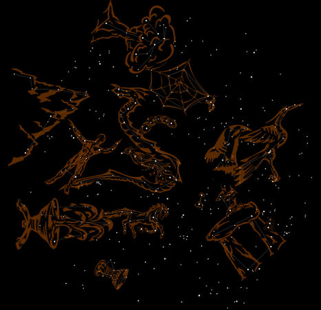 The Night Sky (Illus.)