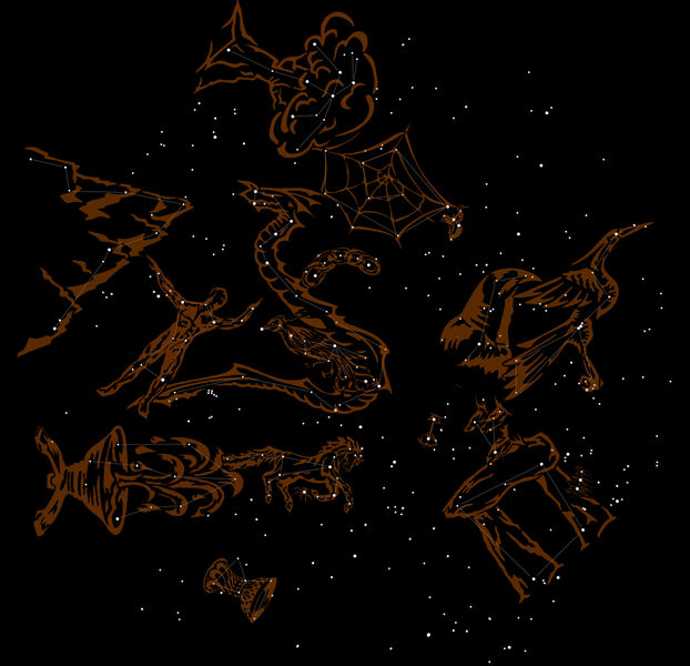 The Night Sky (Illus.)