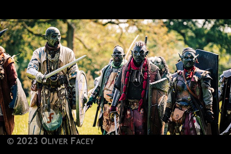 File:Homeland to defend.jpg