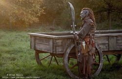 Wagon and Orc.jpg