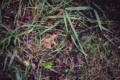 Tales of Imagination.jpg