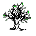 Thumbnail for version as of 21:57, 9 June 2025