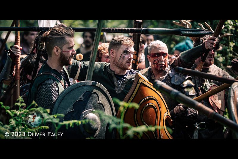 File:Many Navarr Shields.jpg