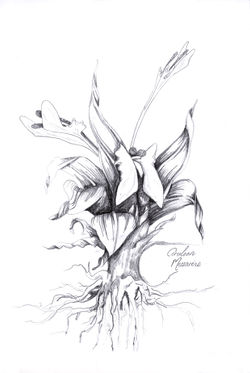 Cerulean Mazzarine.jpg