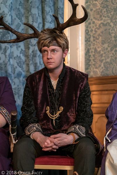 File:Heavy Antlers.jpg