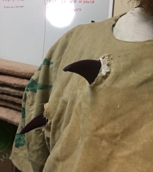 File:Briar Thorns.jpg