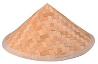 Asian conical hat.jpg