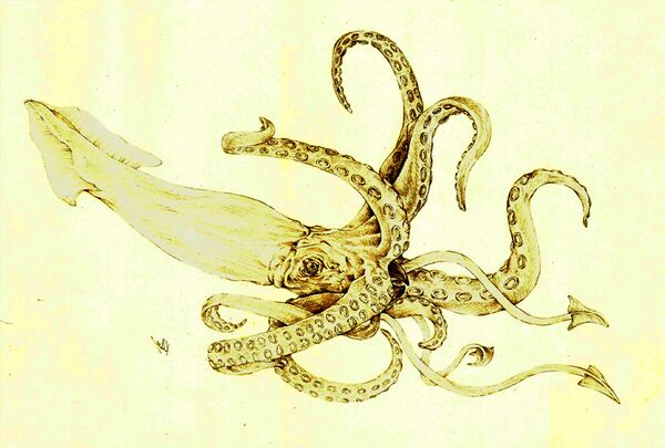 Kraken.JPG