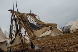 It is time for the Imperial Orcs to uncover their own truths.