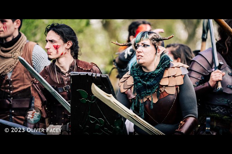 File:Narrow Navarr Shield.jpg