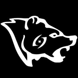 Cohort of the Winter Bear.jpg