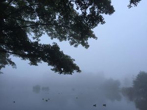 Much of Therunin is marsh or open water.